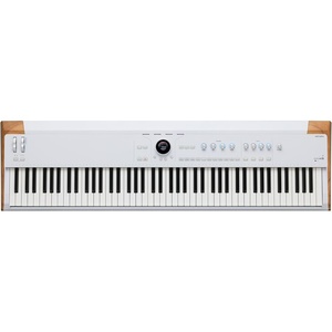 Arturia AstroLab Stage Keyboard (61 Key)(88 Keys)